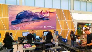Thomas Cook: Deflatables